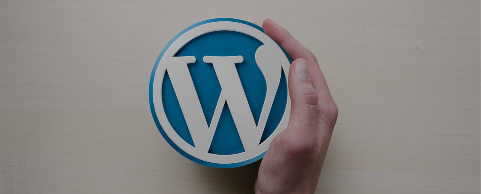 wordpress-development-service-webtechnoedgesolutions